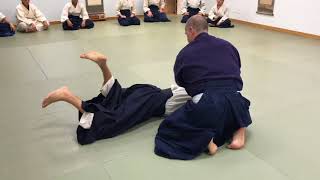 Aikido Sankyo Omote [upl. by Ormond]