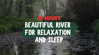 My 30 Day Experiment with Nature Sounds Changed My Sleep Forever [upl. by Ahserak795]