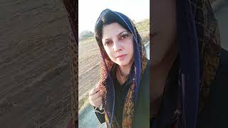 Lawangeen lalay Pashto song Sitara younas viralshort viralvideos pashtosong youtubeshorts [upl. by Jewell]