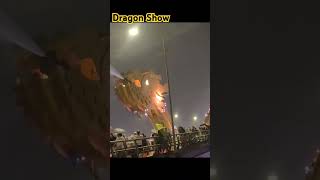 Dragon Fire Show❤️vietnam danang dragonbridge [upl. by Anicul]