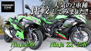 「Ninja250とZX25R」足つき・サウンドなど簡単に比較してみました！カワサキゾーン  KAWASAKI ZONE [upl. by Rez]