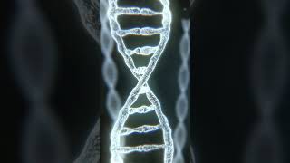 DNA V2  Medical Background Video  Wonderful Life  Bleck C4D DNA medical life [upl. by Rebe]