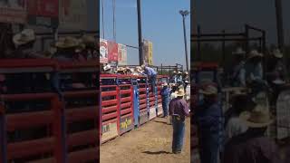 Ky Hardy NorCal Junior rodeo finals Sunday 2018 Oakdale California [upl. by Given731]