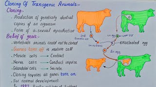 Cloning of transgenic animals  process of cloning  class 12 [upl. by Auohs]