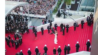 Cannes Film Festival 2024  77th Edition [upl. by Gnilhsa200]