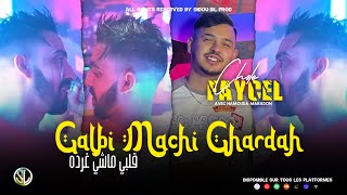 Cheb Faycel Cholé  Galbi Machi Ghardah قلبي ماشي غرضه  Clip Officiel 2023 [upl. by Forester260]