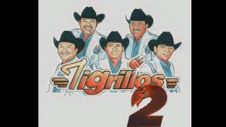 MIX TIGRILLOS EXITOS 2 [upl. by Ennaecarg]