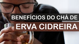 Chá de Erva Cidreira melhora ansiedade herpes e cólica [upl. by Kirst]