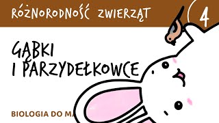 Różnorodność zwierząt 4  Gąbki i parzydełkowce  matura z biologii rozszerzona [upl. by Denni]