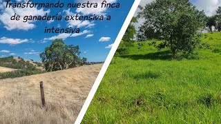 🌱🐄 Transformando Nuestra Finca De Extensiva a Intensiva [upl. by Teria]