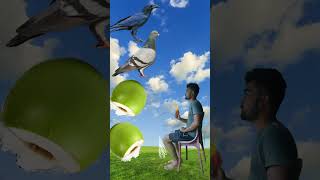 Spinning coconut to kawa kabutar totakinemasterediting funny vfxpro [upl. by Hpesoy]