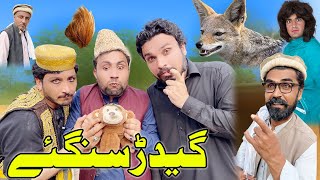 Gidar Singhi Funny Video Gull Khan Vines trending [upl. by Notkcorb]