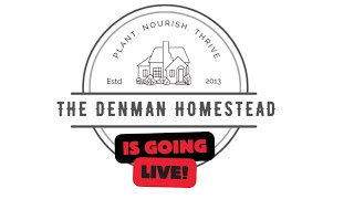 The Denmans Are Going Live 6pm CST [upl. by Nonnaer]