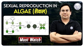 SEXUAL REPRODUCTION IN ALGAE  RPSC ASSISTANT PROFESSOR  NILESH SONI [upl. by Odetta]