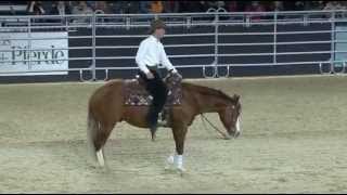 EQUITANA REINING Cup 2013 [upl. by Mcneely]