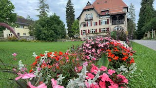 جادهای زیبای سوییس ببینید ولذت ببریدschweiz travel europeantravel switzeland [upl. by Ellenohs92]