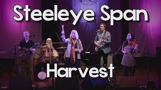 Steeleye Span  Harvest Live [upl. by Yovonnda]