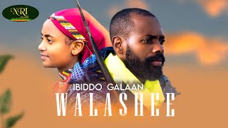 Ibiddo Galaan  Walashee  New Ethiopian Oromo Music 2022 Official Video [upl. by Bedelia]