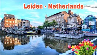 The Netherlands Canals amp Cafés walk in LEIDEN🎡 Walking Santai [upl. by Haskins]