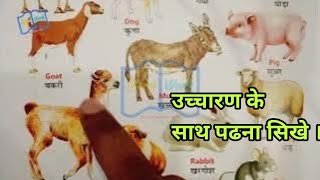 Domestic animals name  पालतू जानवरो के नाम  learn domestic animals name for kids [upl. by Enelrahc537]