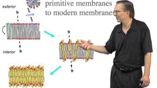 Evolution of fatty acid vesicles to phospholipid membranes  Jack Szostak HarvardHHMI [upl. by Phoebe603]