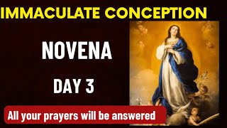 Immaculate Conception Novena Day 3  Novena to Our Lady of the Immaculate Conception Day Three [upl. by Amelie791]