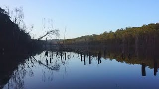 Thirlmere Lakes 091124 [upl. by Suissac]