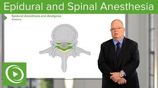 Neuraxial Blocks Epidural and Spinal Anesthesia amp Analgesia – Anesthesia  Lecturio [upl. by Amimej]