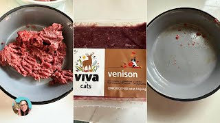 Viva Raw VENISON new protein cat food review  20 off discount [upl. by Hauger239]