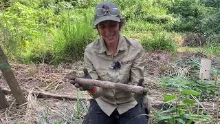 Kedron Brook Workshop Training Video  Planting [upl. by Lamson499]