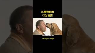 What does the dogs body language mean question animals knowledge sciencedog [upl. by Terrel319]