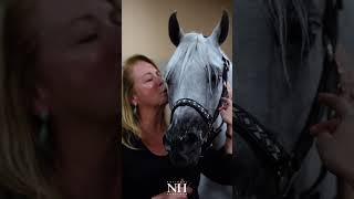 Serendipity V  2024 Scottsdale Arabian Horse Show [upl. by Kery]