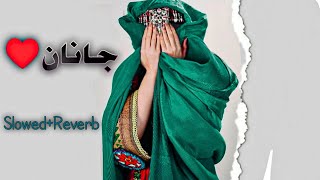 Janan pashto song slowedreverb l Hadiqa Kiyani ft Irfan Khan l Lofi music l AB 20 [upl. by Nnayt663]