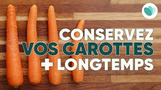 Comment bien conserver ses carottes  Too Good To Go [upl. by Ailekat56]