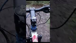 VOILAMART 48V 1000W Carrera Kraken EMTB  My First FALL For Years  FULL THROTTLE In The MUD shorts [upl. by Kornher]