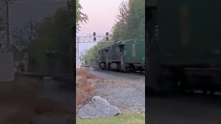 Norfolk Southern 20x Intermodal Drops The Signal Hummelstown PA 10132024 [upl. by Hagar]