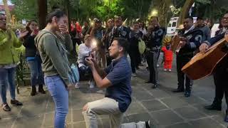 Proposal with Mariachi  Propuesta de Matrimonio con Mariachi  La Venia Bendita [upl. by Haidabo]