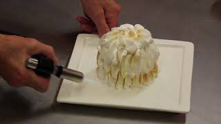 Learn to make French ICE CREAM AND SORBETS with VIDEO 7 ICE CREAM amp SORBETS [upl. by Barber]