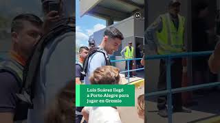 Así fue el recibimiento de los hinchas de Gremio a Luis Suárez en su llegada a Porto Alegre [upl. by Fanestil]