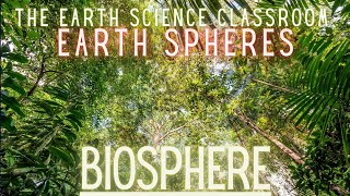 What Is The Biosphere [upl. by Aivizt]