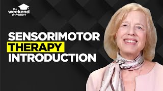 Sensorimotor Psychotherapy An Introduction  Dr Pat Ogden PhD [upl. by Ayna]