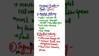 Apoplast amp Symplast Pathway of Water Movement biologyshort [upl. by Daitzman]