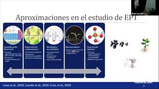 Análisis de riesgo ambiental de elementos potencialmente tóxicos [upl. by Marti]