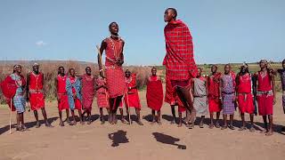 Maasai jumping contest [upl. by Navinod]