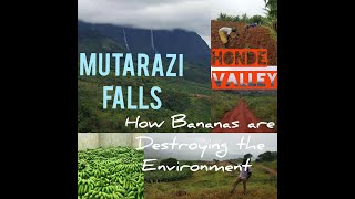 THE GREENEST PART OF ZIMBABWE  Mutarazi Falls  Honde Valley  Banana Farming vs The Environment [upl. by Dnob387]