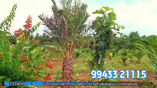 COCONUT FARM LAND FOR SALE IN COIMBATORE KINATHUKADAVU PRICE STARTS AT Rs175000 CENT [upl. by Aidyl374]