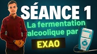 La fermentation alcoolique par EXAO Labquest التجريب المدعم بالحاسوب مباشرة داخل المختبر [upl. by Rodd]