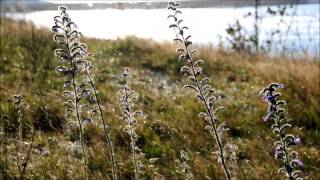 Iles aux coudres Quebec Canada [upl. by Golden]