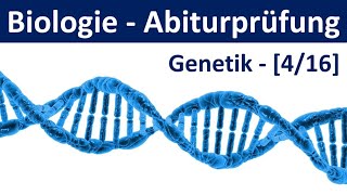 Biologie Abiturprüfung 2024  Aufgaben Genetik 22  Abitur Biologie 416 [upl. by Azpurua449]