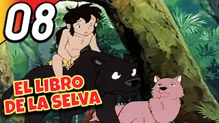 EL LIBRO DE LA SELVA  Episodio 8 Completo  Doblado en Español [upl. by Atonsah753]